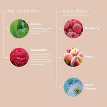 Load image into Gallery viewer, Pureology Strength Cure Conditioner 266ml